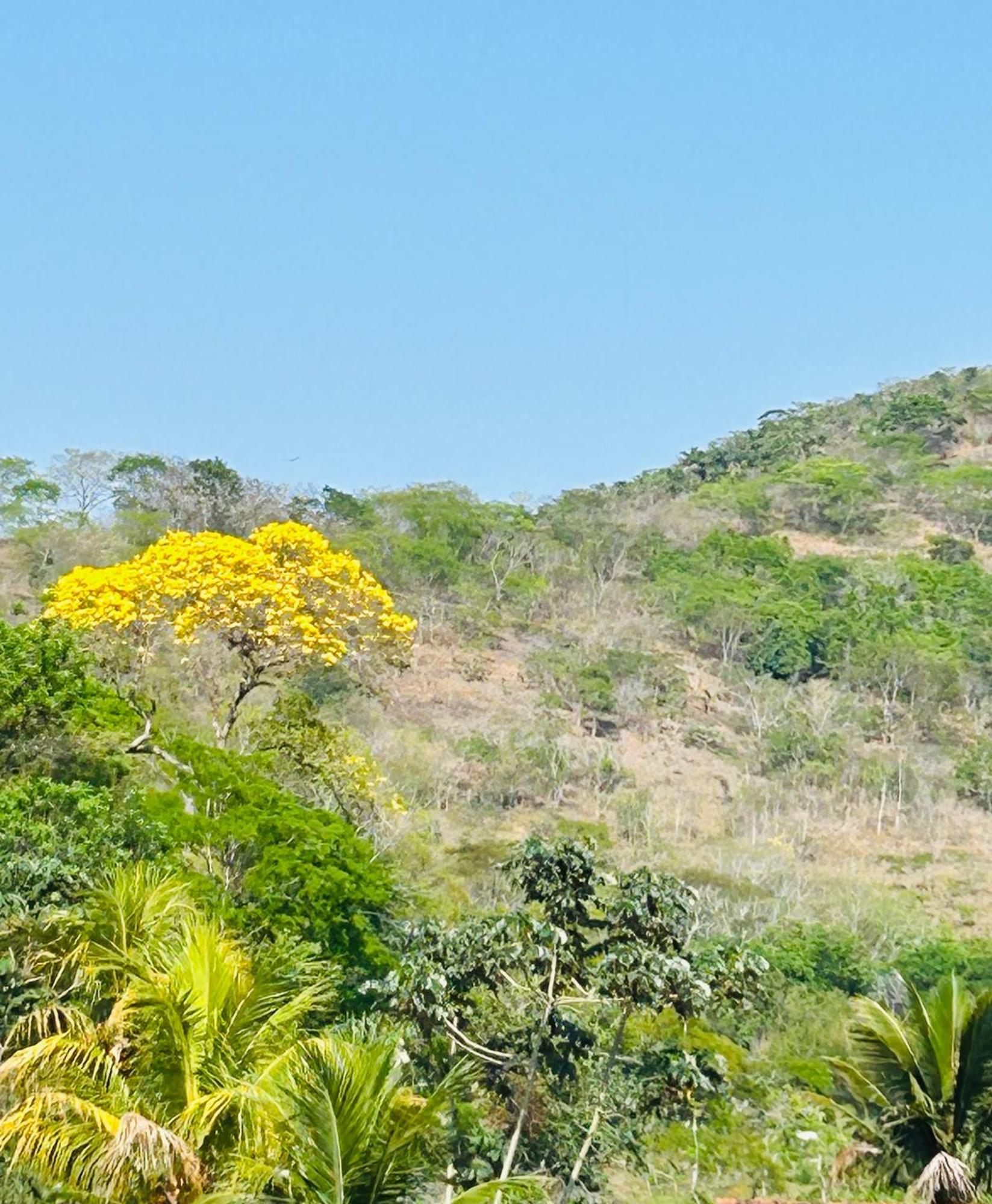 Pousada Casa Do Jova Em Raposo Rj Zewnętrze zdjęcie